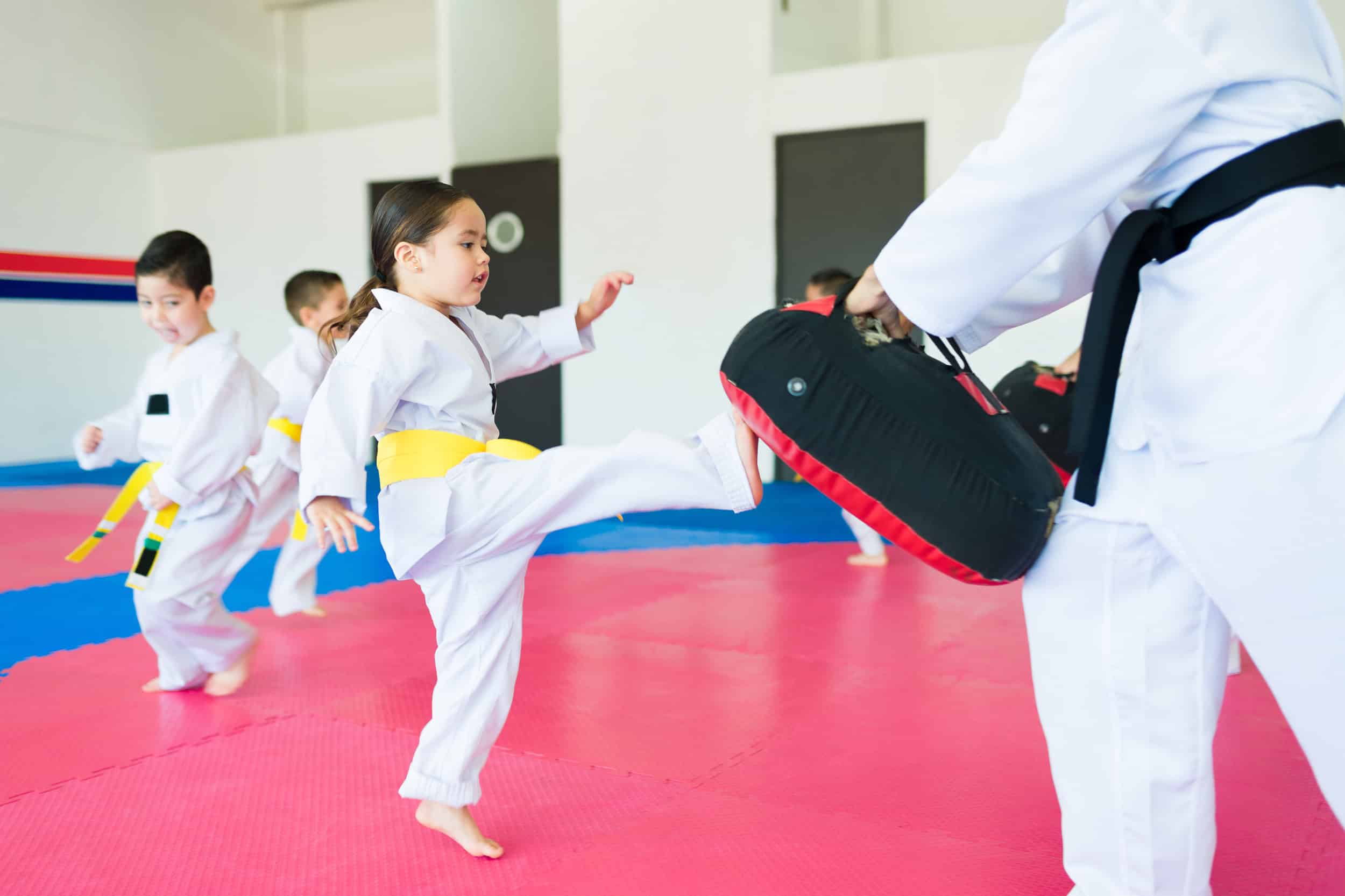 Prime Taekwondo Center Class Schedule